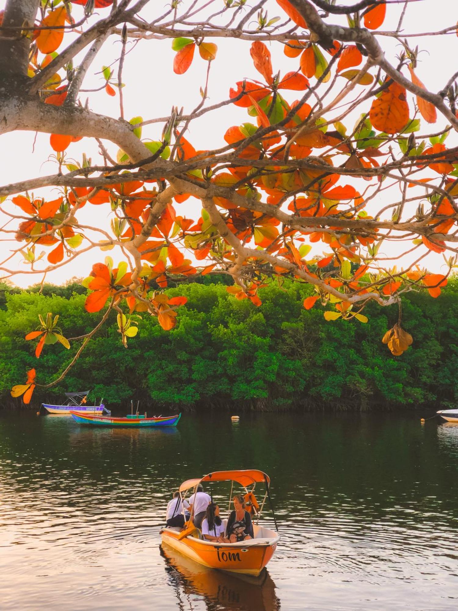 Pousada Villa Esperanca - Xando - Caraiva Ba Eksteriør bilde